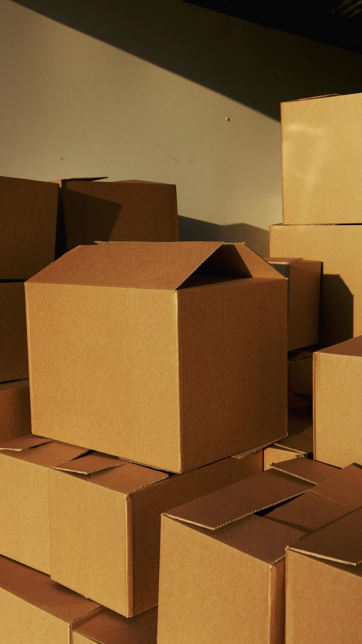 Whitmore Box team — packaging and shipping